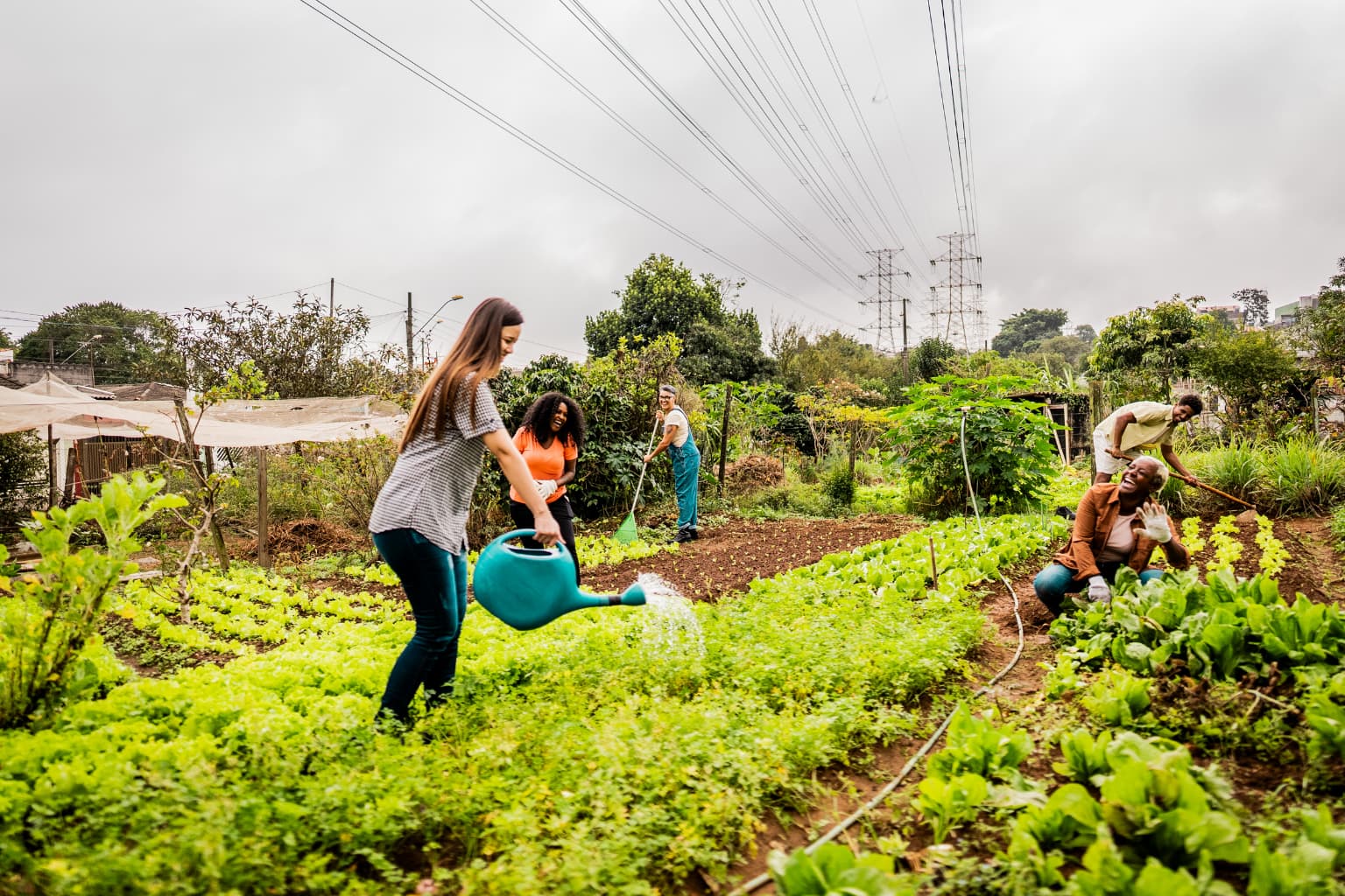 Neighbours working together in a community garden